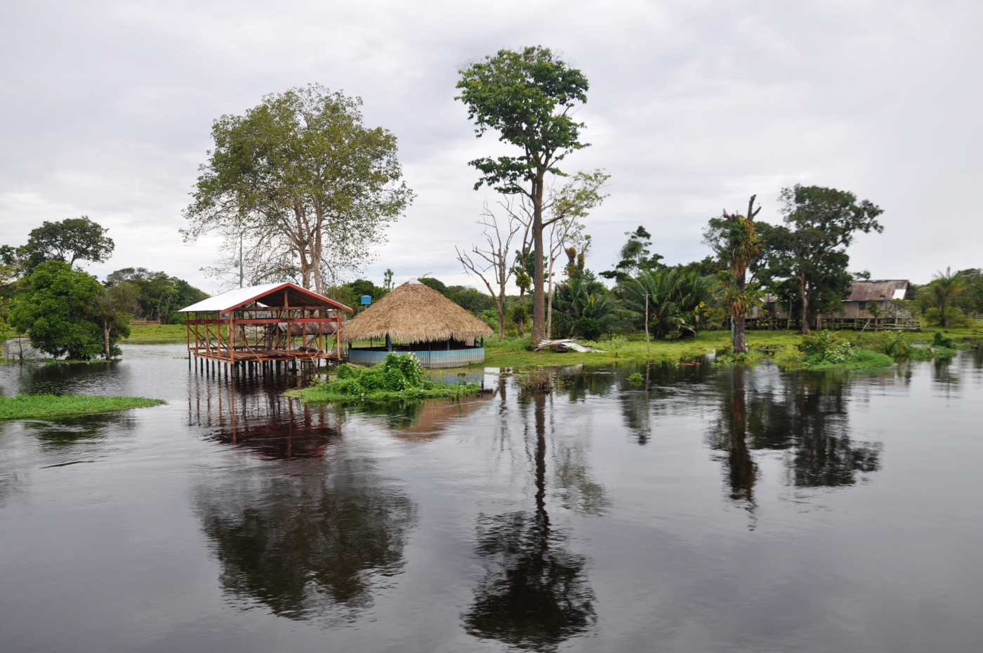 Brazylia - Manaus - Amazonka